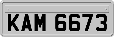 KAM6673