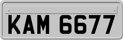 KAM6677