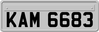 KAM6683