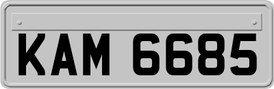 KAM6685