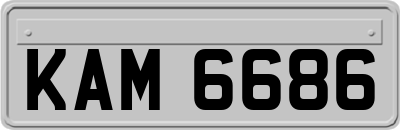 KAM6686