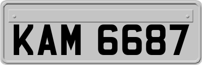 KAM6687