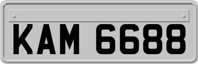 KAM6688