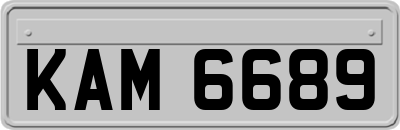 KAM6689