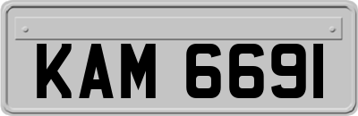 KAM6691