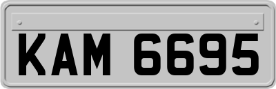 KAM6695