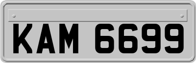 KAM6699