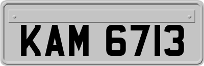 KAM6713