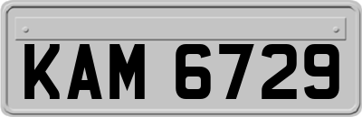 KAM6729