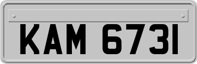 KAM6731