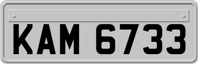 KAM6733