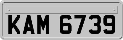 KAM6739