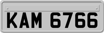 KAM6766