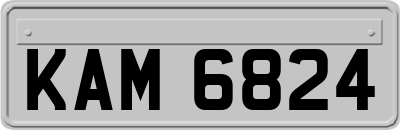 KAM6824