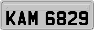 KAM6829