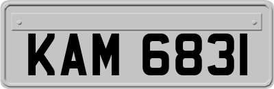 KAM6831