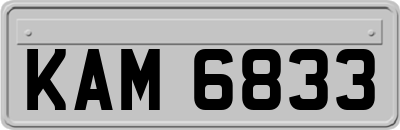 KAM6833