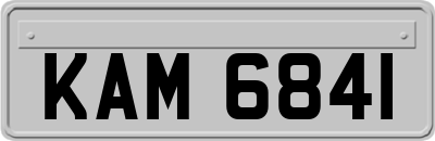 KAM6841
