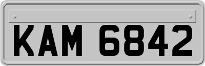 KAM6842