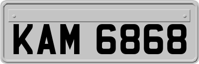 KAM6868