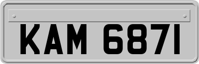 KAM6871