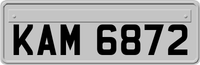 KAM6872