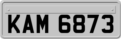 KAM6873