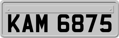 KAM6875