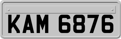 KAM6876