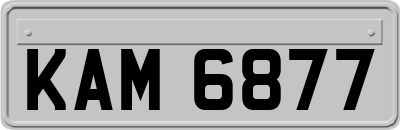KAM6877