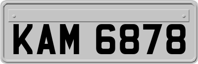 KAM6878
