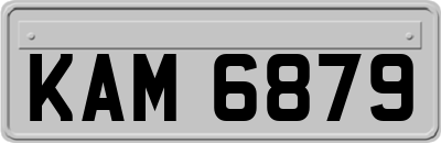 KAM6879