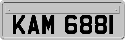KAM6881