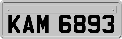 KAM6893