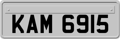 KAM6915