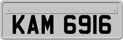 KAM6916