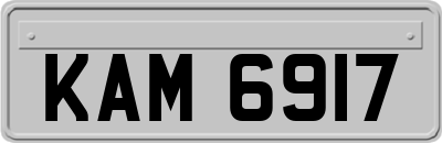 KAM6917