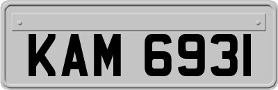 KAM6931