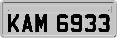 KAM6933