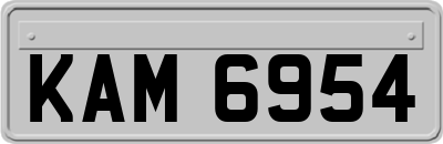 KAM6954