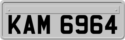 KAM6964