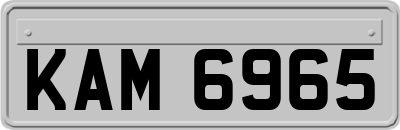 KAM6965