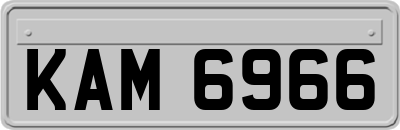 KAM6966
