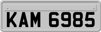 KAM6985