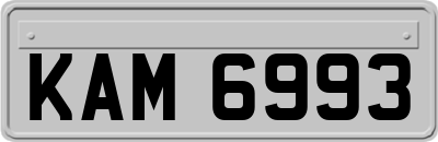 KAM6993