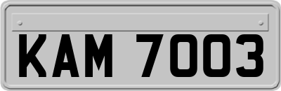 KAM7003