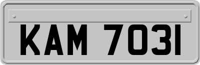 KAM7031