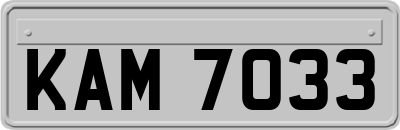 KAM7033