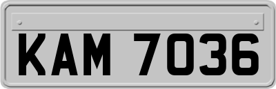 KAM7036