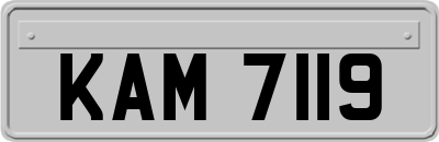 KAM7119